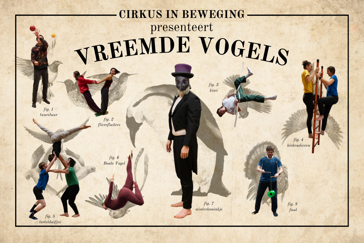 Vreemde Vogels